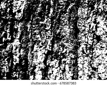 Weathered tree bark surface. Wood bark texture. Aged texture of timber board. Distressed overlay for vintage effect. Wooden overlay with weathered surface. Old wooden texture. Tree trunk grit texture