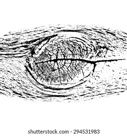 Weathered wood texture. Cross section of a tree