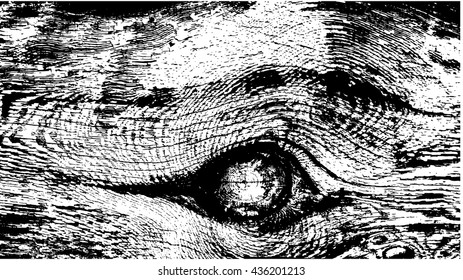 Weathered wood texture. Cross section of a tree