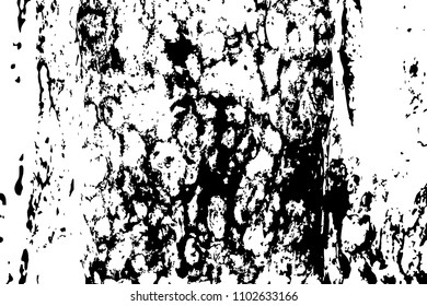 Weathered wooden texture. Rough timber black and white vector texture. Distressed tree bark surface. Obsolete timber structure. Natural lumber grit and scratch. Aged worn vintage overlay. Wood surface