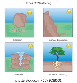 Weathering is the breakdown of rocks by physical, chemical, or biological processes, shaping landscapes over time without moving the debris far. Geography concept.