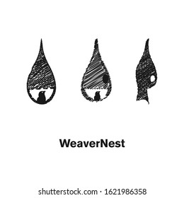 weave nest logo design template vector illustration. 