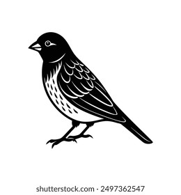 Weaver bird black silhouette vector, ideal for nature-inspired designs and wildlife illustrations.