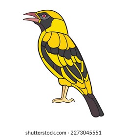 Weaverbird.Vector illustration isolated on white background.