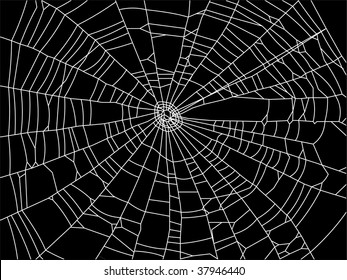 web