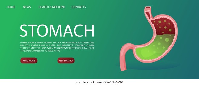 Plantilla de banner web con el estómago lleno humano. Estilo de la caricatura de ilustraciones vectoriales
