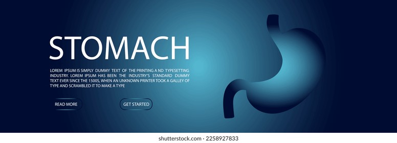 Web banner template with human healthy stomach. Modern design, vector illustration cartoon style

