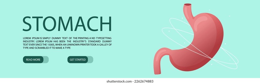 Plantilla de banner web con estómago sano humano. Estilo de la caricatura de ilustraciones vectoriales
