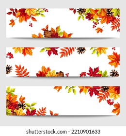 Web banners with colorful autumn leaves, pinecones, and rowanberries. Vector illustration