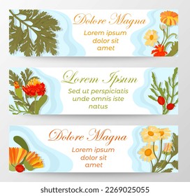 Web Banners with white backgrounds and fully colored leaves and flowers. Imitation of water waves or puddles under the plants. Plant parts of the Marigold, Calendula, Dog Rose, and Camomile.