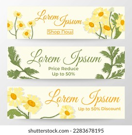 Web Banners with white backgrounds, leaves, and flowers made in full colors and sprayed with sand-like white texture. Plant parts of the Camomille or Feverfew.