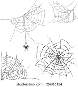 web black on a white background set , a poisonous spider decoration for Halloween