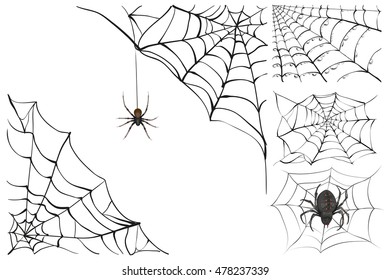 Web And Black Poisonous Spider. Set Halloween Accessory. Isolated On White Vector Illustration