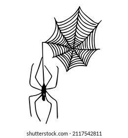 A web with a black spider, doodles, abstraction.