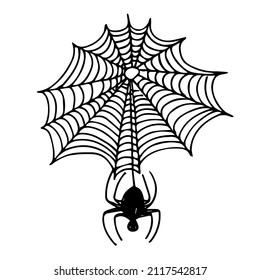 A web with a black spider, doodles, abstraction.