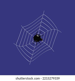 a web with a black spider on a dark background