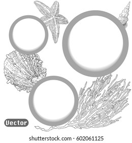 Web Design Bubbles Vector Illustration with Underwater World. Hand drawn seashell, starfish and corals. Monochrome background with copy place text.