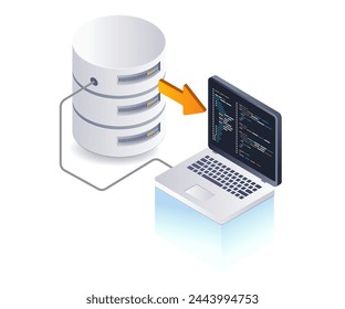 Web developer program language database, flat isometric 3d illustration