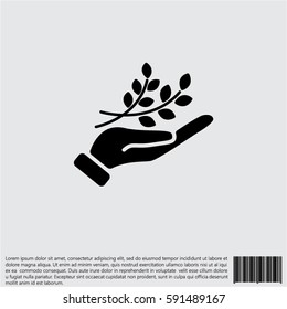 Web icon. A branch in the hand