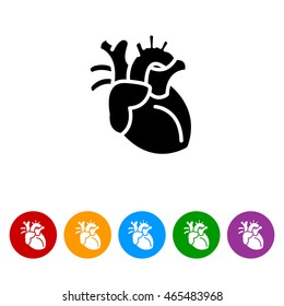 Web icon. Human heart