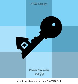 Web icon. Key