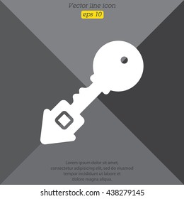 Web icon. Key