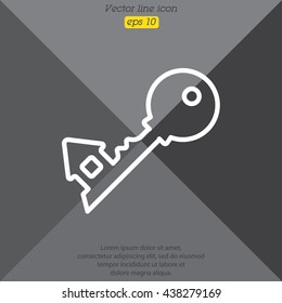 Web icon. Key