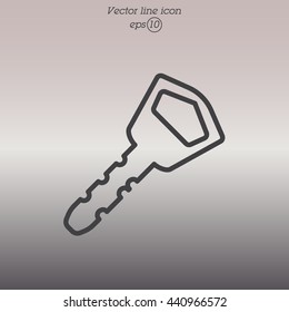 Web icon. Key