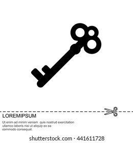 Web icon. Key