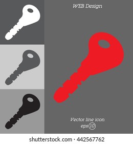 Web icon. Key