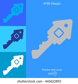 Web icon. Key