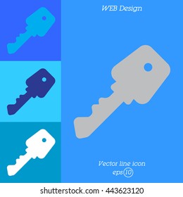 Web icon. Key