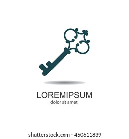 Web icon. Key