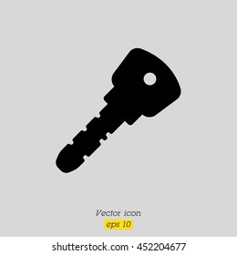 Web icon. Key