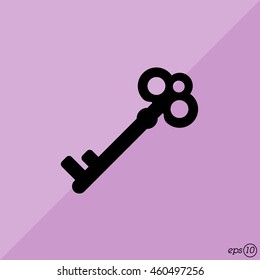 Web icon. Key