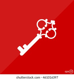 Web icon. Key