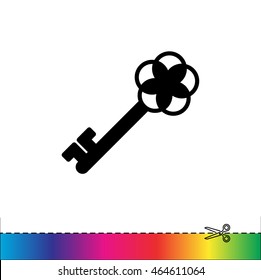 Web icon. Key