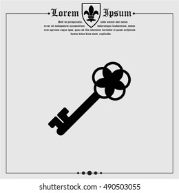 Web icon. Key