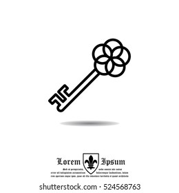 Web icon. Key
