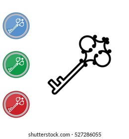 Web icon. Key