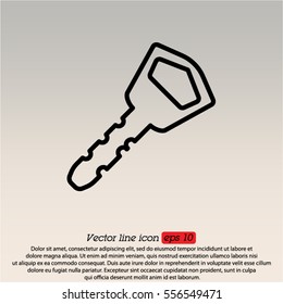 Web icon. Key