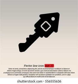 Web icon. Key