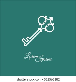 Web icon. Key