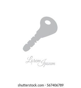 Web icon. Key