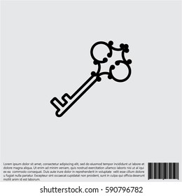 Web icon. Key