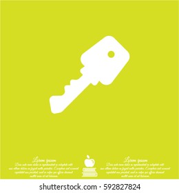 Web icon. Key