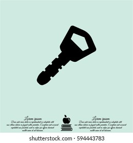Web icon. Key