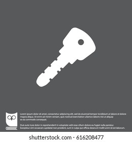 Web icon. Key. vector illustration