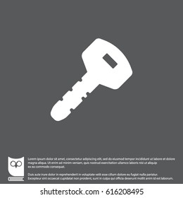 Web icon. Key. vector illustration