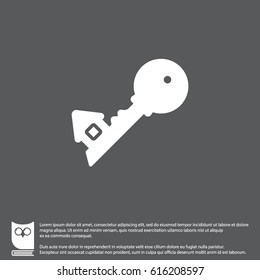 Web icon. Key. vector illustration